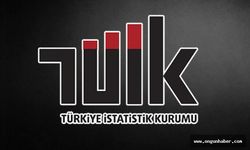 Türkiye Ekonomisi Yüzde 9,9 Daraldı