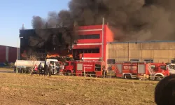 Kırklareli'nde oyuncak fabrikasında yangın