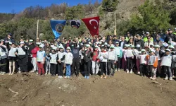 Antalya Kumluca'da fidanlar toprakla buluştu!