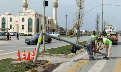 Sakarya'da kullanılamaz hale gelen trafik ışığına hızlı müdahale!