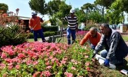 Antalya Muratpaşa'nın renkli emeği