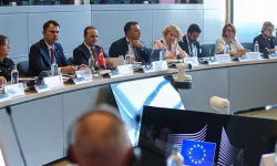 Bakan Kurum AB İklim Eylem Komiseri Hoekstra ile görüştü