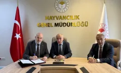 Besilik hayvan krizine neşter! İki kritik protokolle yerli üretim güçlenecek