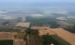 IPARD-III'ten 156 Yerel Eylem Grubu'na yüzde 100 hibe desteği