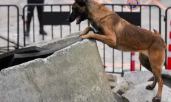 İstanbul Maltepe'nin Zeyna'sı artık ekibin bir parçası