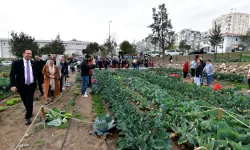 İzmir Bornova'da kent bostanlarında hasat coşkusu