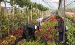 Muğla'dan yerel kalkınmaya 'Büyük' katkı