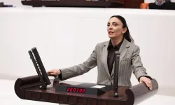 Nurhayat Altaca Kayışoğlu: 'Özgür sanat olmadan demokrasi olmaz'