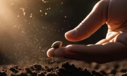 Tohumculuk sektöründeki 'Rekabet' soruşturması genişletildi... O soruşturmada yeni firmalar eklendi