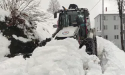 Trabzon Büyükşehir'in kış mesaisi başladı