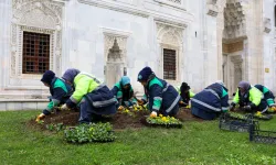 Bursa kışın da adeta çiçek bahçesi