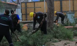Bursa Osmangazi'de lodosa ve sağanağa hızlı müdahale