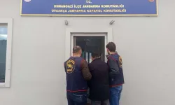 Bursa'da hapis cezası firarisini Jandarma yakaladı