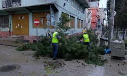 Bursa'da kuvvetli lodos alarmı! 42 ihbara anında müdahale