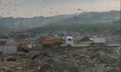 Bursa'daki katı atık alanına 1,8 milyon TL ceza!
