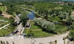 Doğanın kalbi yıl boyunca Sakarya'da attı