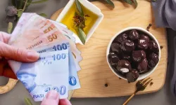 Marmarabirlik zeytin üreticisine 860 milyon TL ödeyecek