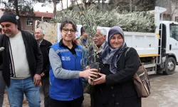 Muğla Ula'da üreticiye zeytin ve ceviz fidanı desteği