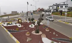 Tekirdağ'ın cadde ve kavşaklarına iklim dostu dokunuş