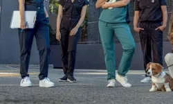 Veteriner Hekim-Sen'den hukuki zafer... Koruyucu giyim yardımı davası kazanıldı