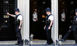 Diplomatik Krizlerin "Cool" Aktörü: Trump'ı Bekleten Güç!