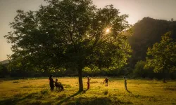 Ailemiz Geleceğimiz Fotoğraf Yarışması'nın kazananları belli oldu