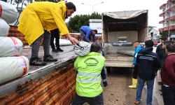 Antalya'da hortum ve fırtına mağduru üreticiye destek