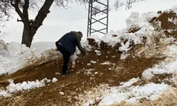 Batman Sason'da yabani hayvanlar için yemleme çalışması