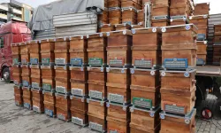 Bursa Büyükşehir'den arıcılara kovan desteği