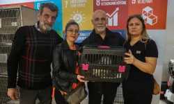 Bursa can dostlara sıcak yuva oluyor