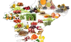 Ege Bölgesi tarım ihracatında liderliğini korudu