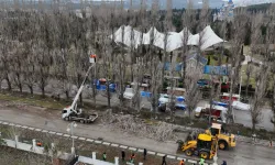 Eskişehir Büyükşehir'den ağaçlara gençleştirme çalışması