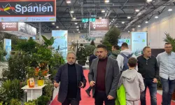 Kayseri Talas 'Çiçek Yılı'na hazırlanıyor