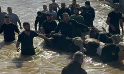 Manisa'da sel sefeberliği... 44 vatandaş ve 127 hayvan tahliye edildi