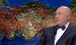 Türkiye Deprem Riski Etkilenme Bölgeleri Haritası