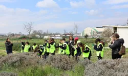 Bursa Nilüfer'de Bostan Kaşifleri tarımı deneyimledi