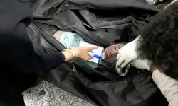 İran Saldırılarda Ölen Evlatlarına Ağlıyor