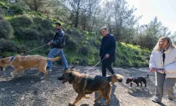 İzmir Büyükşehir'den sahipsiz hayvanlar için çağrı