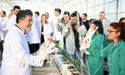 Kırklareli'nde jeotermal enerjiyle tarımda devrim