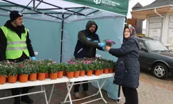 Kocaeli Büyükşehir'den ücretsiz binlerce çiçek