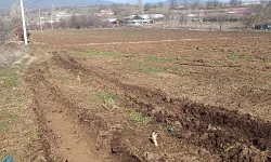 Pazaryeri'nde 'yüksek gerilim' tarım arazilerini zora soktu!