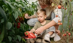 Sakarya'da çocuklar tarımın kaşifi olacak