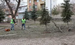 Ağrı'da park ve yeşil alanlarda yenileme çalışmaları
