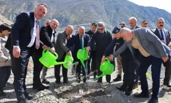 Artvin'de Butko zeytini üretimi yaygınlaşıyor