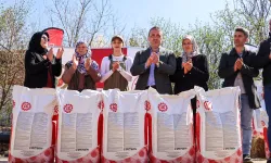 Bilecik'te çiftçilere ayçiçeği tohumu dağıtıldı