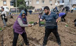 Bornova'da umut toprakla büyüyor