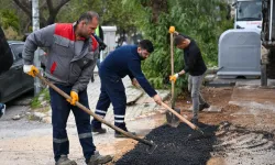 Bornova'nın kalbi yenileniyor