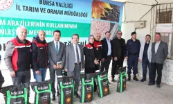 Bursa'nın üç ilçesinde ayçiçeği üretimine güçlü destek