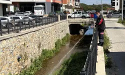 Haşereye karşı larvasit çözüm