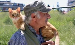 İstanbul Maltepe'de 'can dostlar' güvende